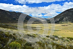 Beautiful landscape in New Zealand with yellow grassland and mountains. Molesworth station, South Island