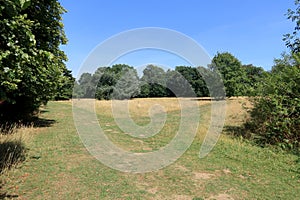 Beautiful Landscape in North Kent