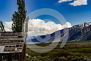 Beautiful Landscape of the north shore area of Mono Lake, California