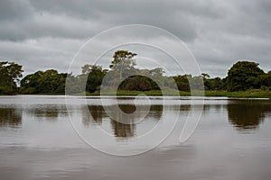 Beautiful landscape in northern Pantanal