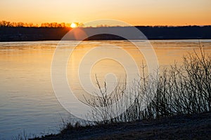 Beautiful landscape with old willow tree at sunrise. River