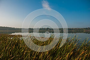 Beautiful landscape overlooking the lake Coba, Mexico, Yucatan