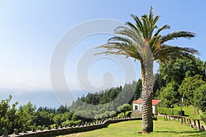 Beautiful landscape with palmtree and house in San Andres, Galicia, Spain