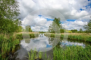 Beautiful landscape park, called Het Abtwoudse Bos, on the border of the city of Delft, Netherlands.