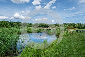 Beautiful landscape park, called Het Abtwoudse Bos, on the border of the city of Delft, Netherlands.