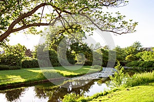 Beautiful  landscape of park trees located along the bank of the canal