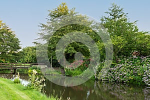 Beautiful  landscape of park trees located along the bank of the canal with wooden bridg