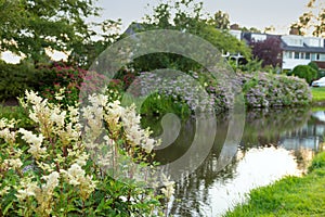 Beautiful  landscape of park trees located along the bank of the canal with wooden bridg