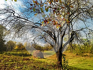 Beautiful landscape of a peacefull day in country village Prahova-Romania in autumn time photo