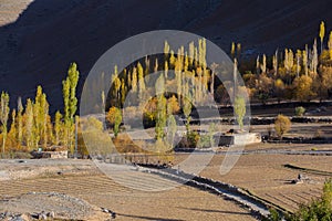 Phandar Valley in Autumn Season. photo