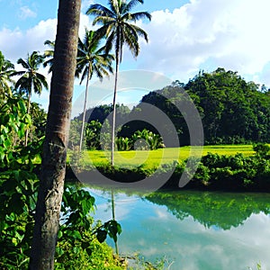 Beautiful landscape of the Philippines jungle.