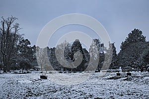 Beautiful landscape photo of the park covered in snow in Harrogate