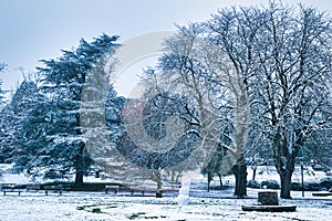 Beautiful landscape photo of the park covered in snow in Harrogate