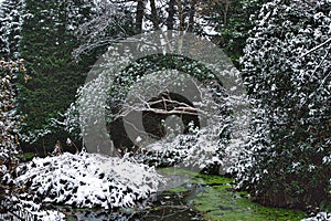 Beautiful landscape photo of the park covered in snow in Harrogate