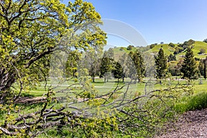 Beautiful landscape photos in the spring in California. With lush green hills, Green shrubs and trees, beautiful purple and orange