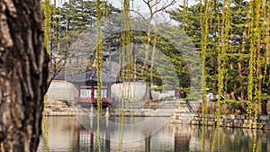 Beautiful Landscape Pictures At Gyeongbok Palace Seoul, South Korea