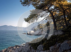 Beautiful landscape. Pine forest in the hills on the shore of the blue sea. Mediterranean Sea, travel to Turkey. Faralya