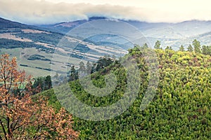 Beautiful landscape with pine forests in Slovakia.