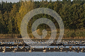 Beautiful landscape of Poland