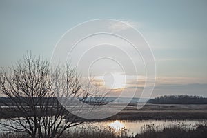 Beautiful landscape with pond, tree silhouette and sun going down