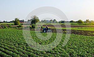 Beautiful landscape of potato plantation and a cultivator tractor. Agroindustry and agribusiness. Field work cultivation. Farm