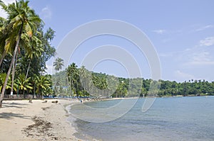 The beautiful landscape protected the Andaman Sea Port Blair India