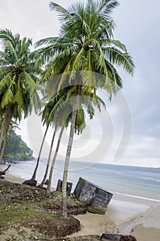 The beautiful landscape protected the Andaman Sea Port Blair India