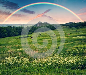 Beautiful landscape with a rainbow in the sky