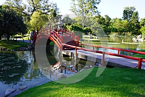 Beautiful landscape with a red bridge over a small river in a Japanese garden in Buenos Aires