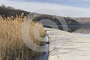 Beautiful landscape on the reeds
