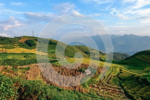 Beautiful landscape of rice field terraces in Ta Xua mountain.