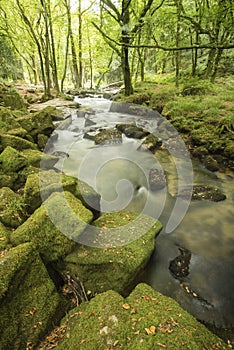 Beautiful landscape of river flowing through lush forest Golitha