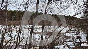Beautiful landscape with a river with ice on a sunny spring day