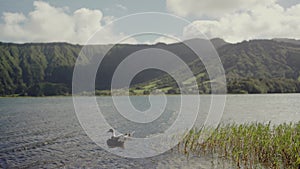 Beautiful landscape, river with two swimming ducks, mountains and clouds on sky