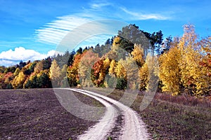 Beautiful landscape with road near autumn forest loop, purpose, life search,  arc - concept