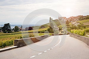 Beautiful landscape with a road, a village and vineyards at sunset.