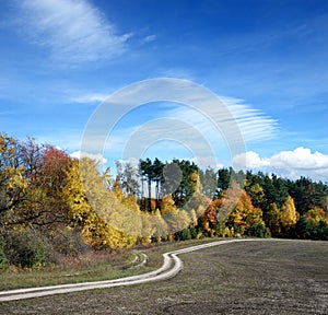 Beautiful landscape with road, winding around autumn forest on c