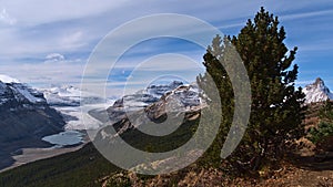 Beautiful landscape of the Rocky Mountains with majestic Saskatchewan Glacier in Banff National Park, Alberta, Canada.