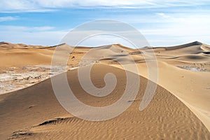 Beautiful landscape of sand dunes and camels on Sahara Desert, Africa