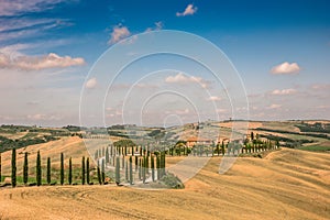 Beautiful landscape scenery of Tuscany in Italy - cypress trees along white road - aerial view -  close to Asciano, Tuscany, Italy photo