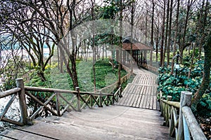 The beautiful landscape scenery of Xihu West Lake and pavilion in Winter at Hangzhou CHINA