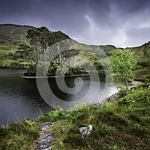 Beautiful landscape of Scotland ,UK.Small island with pine trees on the middle of lake