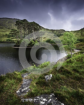 Beautiful landscape of Scotland ,UK.Small island with pine trees on the middle of lake