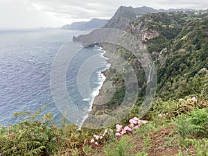 Beautiful landscape with sea and cliffs, pink lilly flowers and waterfall in Quinta do Furao, Santana, Madeira