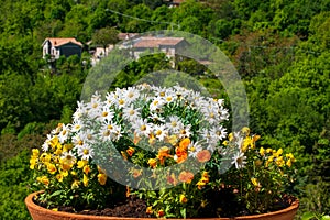 Beautiful Landscape seen from the Sanctuary of Greccio