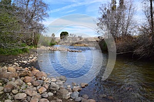 Beautiful landscape that shows the transition of seasons, from winter to spring, Kern River, Bakersfield, CA.