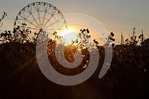 Beautiful landscape with the silhouette of a ferris wheel and sunset in Europe