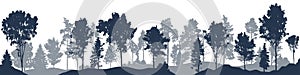 Beautiful landscape, silhouette of forest. Tall pine and spruce trees. Horizontal woodland. Vector illustration