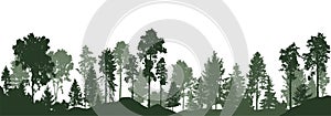 Beautiful landscape, silhouette of forest. Tall pine and spruce trees. Horizontal woodland. Vector illustration