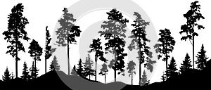 Beautiful landscape, silhouette of forest. Tall pine and spruce trees. Horizontal woodland. Vector illustration